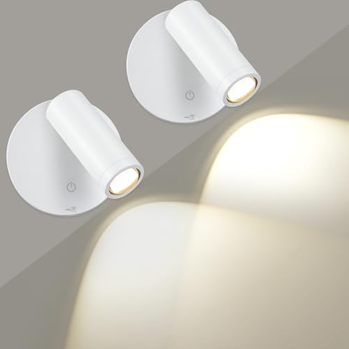 SMY Lighting Foco LED inalámbrico recargable y regulable con 3 temperaturas de color, función temporizador, control táctil y mando a distancia, para iluminación de arte, planta, sala de estar, blanco