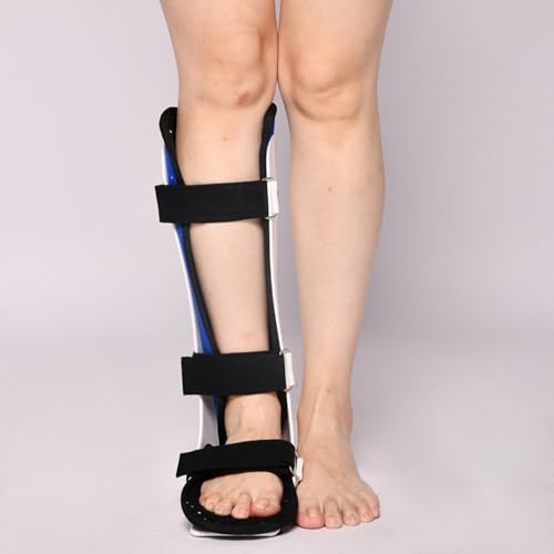 uNexPonv̑̑u[X߉\ȕGƑŒ肳ꂽu[ẌËrƑ̌Œj[WCg␳ (S,Wf)