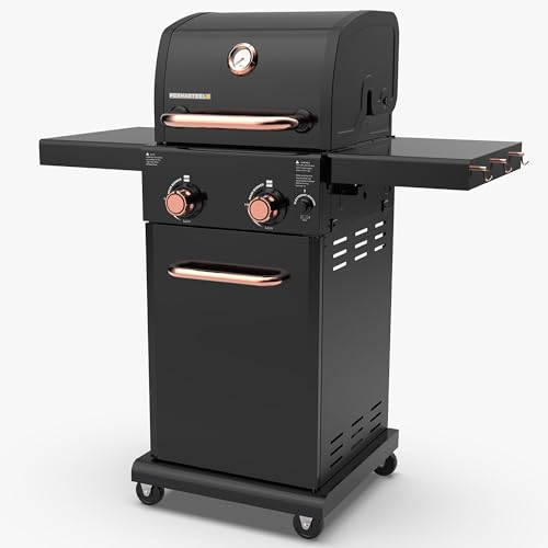 Permasteel 2-Burner Propane Gas Grill, BBQ Grill with Foldable Side Tables & Tool Hooks, Perfect for...