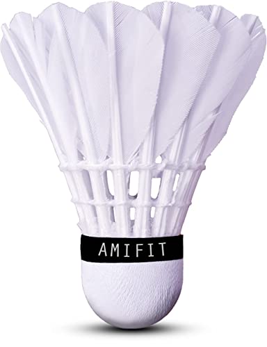 AMIFIT Steller Gold Series Feather Shuttlecock, Pack of 3 (White) 2 31iGB4mBKnL
