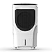 Crompton Cool Breeze DAC Desert Air Cooler- 80L; with Everlast Pump