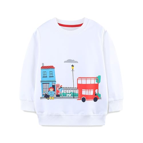 Boys Sweatshirts Casual Sweatshirts Cotton Sweatshirts Long Sleeve T-shirts Crew Neck Cartoon Tops for Boys-379