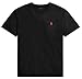 Produktbild POLO RALPH LAUREN Herren-T-Shirt, V-Ausschnitt, klassische Passform, Ralph Lauren Black, L
