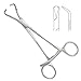 Stagbeetle Forceps 4 3/4