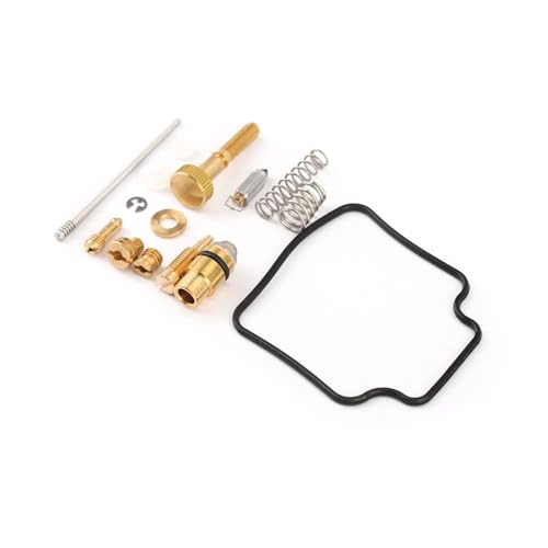 Kit carburateur quad P330 résout les fuites et problèmes de démarrage
