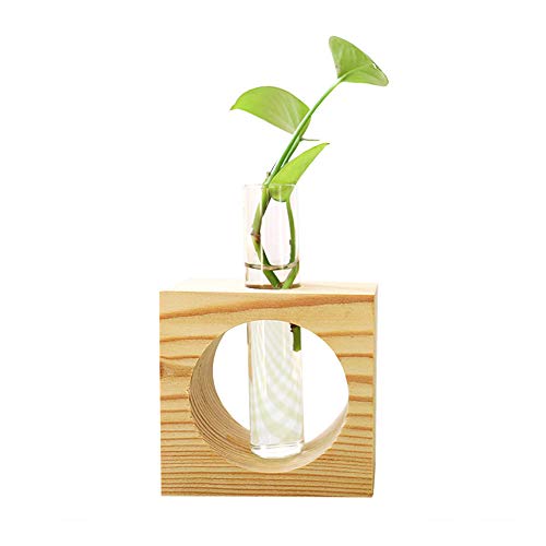 XWU Vaso de Vidro, Tubo de teste de vidro cristal planta terrário vaso vasos de flores para plantas