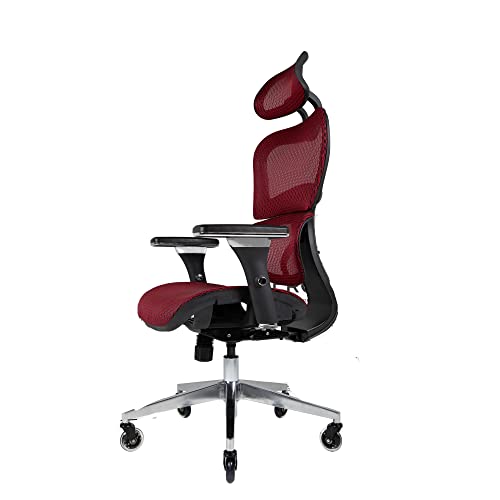 Nouhaus Ergo3D Ergonomic Office Chair Lumbar Support Mesh Office Chair with 4D Adjustable Armrest, Adjustable Headrest and Wheels, Mesh High Back Home