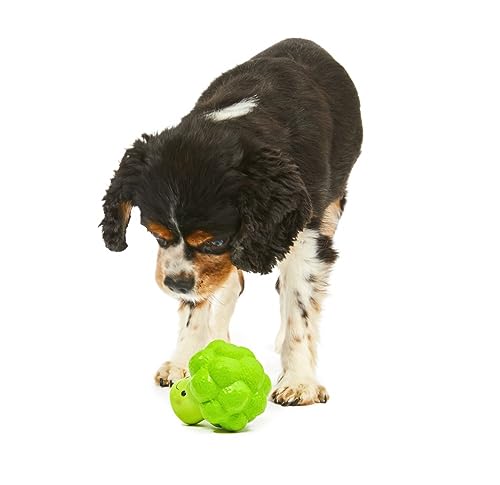 Petface Hundespielzeug, Brokkoli, weich, Latex, klein