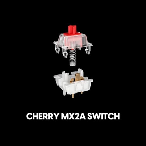 Pulsar Gaming Gears XBOARD MS ゲーミング キーボード ISO UK配列 89キー CHERRY MX2Aスイッチ の商品画像 3