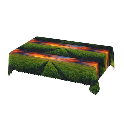 �e�[�u���N���X �����` �Ő��̃t�B�[���h�̗[���̕��i �e�[�u���J�o�[ �k�� ���� �h�� �h�� ����h�~ �������ȒP ������� Table Cloth 137x183cm