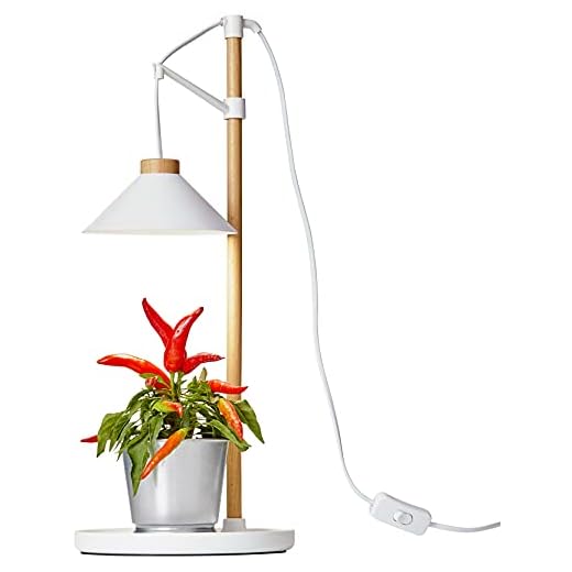 Northpoint LED Pflanzenleuchte Kräutergarten Tischlampe aus Echtholz 9W 550 Lumen Höhenverstellbar Timer