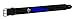 Crazee Wear Heavy Duty Workout Belt in Black with Train Insane in Neon Blue