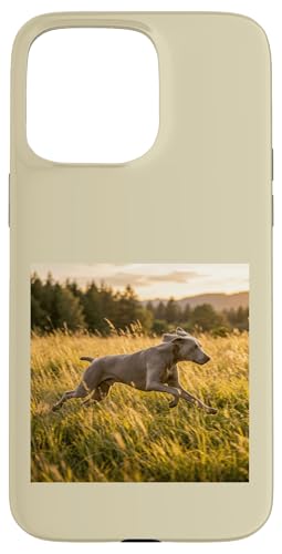 Weimaraner �����j���O���h�E �T���Z�b�g �t�B�[���h �V�[�� �X�}�z�P�[�X iPhone 15 Pro Max �p