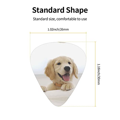 Pack de 12 médiators Golden Retriever Puppies médiators pour guitare électrique guitare acoustique guitares diverses - Les Beatles, Paul McCartney, John Lennon, RIngo Starr, George Harrison Pack de 12 médiators Golden Retriever Puppies médiators pour guitare électrique guitare acoustique guitares diverses – Image 4