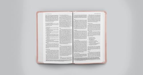 ESV Premium Church Bible (TruTone, Pink): Holy Bible, English Standard Version - image 6