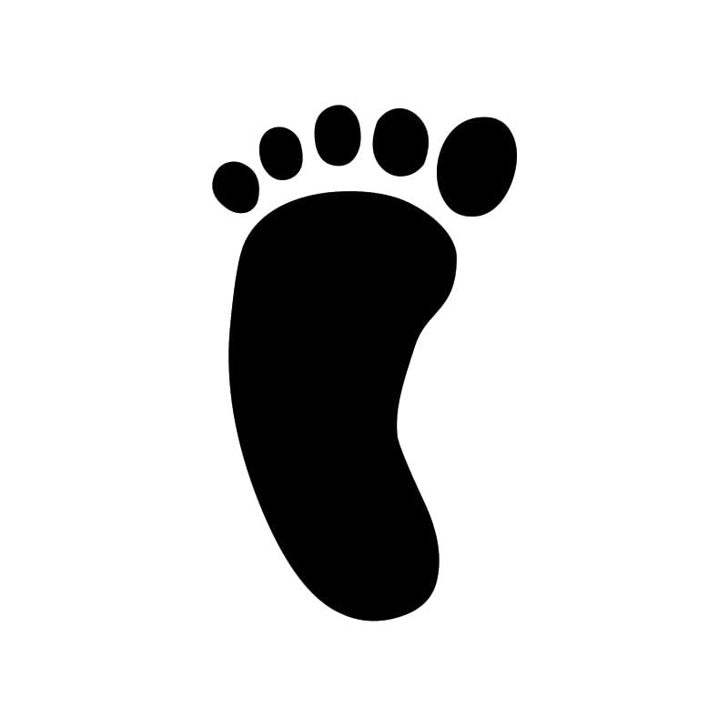 313656_7 313656_7