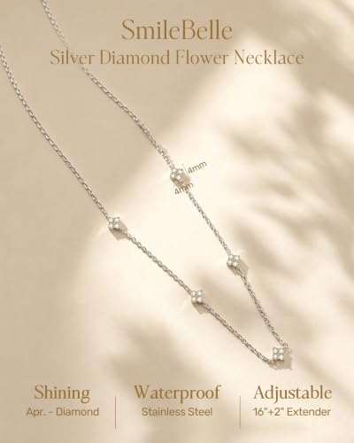Image of SmileBelle Dainty Silver Necklace for women Simulated Diamond Necklace