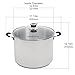 Harvest Stainless Steel 20 Qt Canning Pot with Rack | Water Bath or Steam Canning | Works on All Stovetops Including Induction, Glass, Gas (Stainless Steel Canner + Tools)