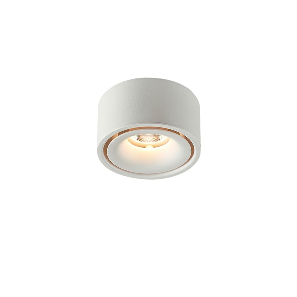 BHGFYXBS Nordic Surface-Mounted Round Downlight,Modern Home Led Living Room Background Wall Mainless Ceiling Light,Indoor Aisle Corridor Entrance Light Anti-Glare Spotlight 10W,10w-Warm light 3000K