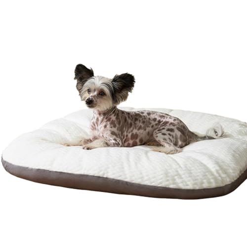 Lifetips チャイニーズ・クレステッド・ドッグ ペットベッド 犬 猫 ソファ風 クッション 洗えるカバー 防水 清潔 ふわふわ 大きめ オールシーズン 滑り止め 軽量 耐久性 低反発 通気性 速乾 抗菌 防臭 防ダニ 丸洗い 取り外し簡単 屋内用 多