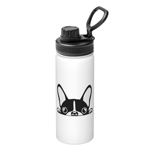 ���� �ʔ��� ���� �{�X�g���e���A �X�e�����X�{�g�� ���@�r 530ml ������ �ۗ�ۉ� �^��f�M �X�|�[�c�{�g�� ��e�� �n���h���t�� �����^�� �R��h�~ ������� �o�R �A�E�g�h�A �ʋ� �ʊw