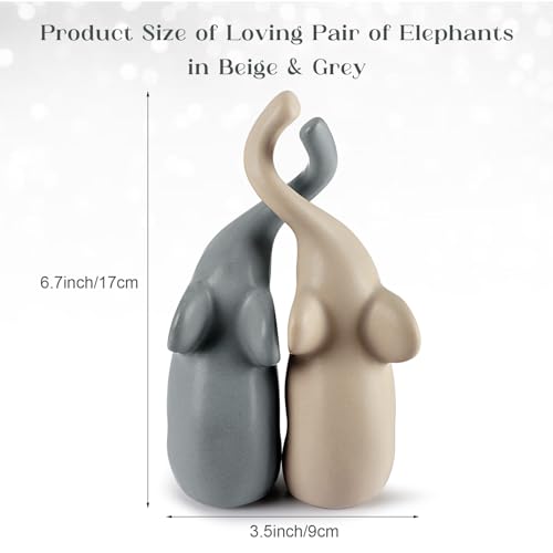 La Mejor Selección de Planta pata de elefante precio Top cinco. 6 La Mejor Selección de Planta pata de elefante precio Top cinco. 6