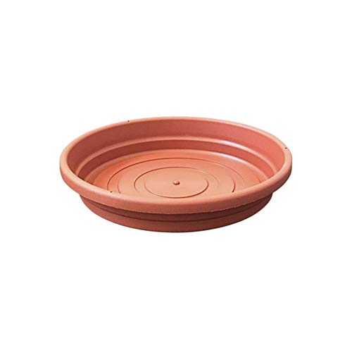 Prato em Polipropileno para Vaso Roma 20cm Marrom