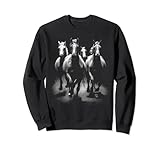Photo Gallery cavalli western cowgirl cowboy equitazione animale barile felpa Photo Gallery cavalli western cowgirl cowboy equitazione animale barile felpa