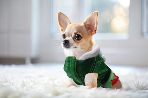 Disfraz de Elfo de Navidad para Perros Talla L miniatura 3