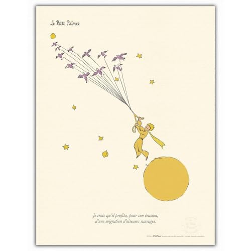 Affiche d'art Le Petit Prince avec les oiseaux 60x80cm pour égayer un mur blanc sans âme