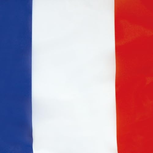 AZ FLAG Pavillon France 45x30 cm Français Maille Bloquée Anneaux Plastique – vue 3