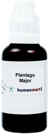 Plantago Major Homeopathy Dilution 1M, 1 fl oz (30ml)