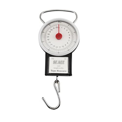 ZJFHEYUO 22 kg tragbare Hängewaage