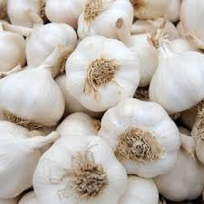 See full amazon price history chart for Garlic plant seed Garlic plant seed (B0DH2NCHCY) Amazon Price History, Amazon Price Tracker