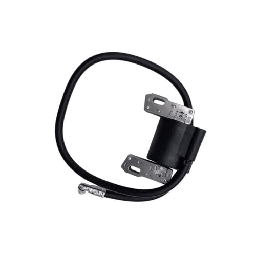 Bobine d'allumage SV150 RV150 M150 V35V40 haute durabilité pour moteur