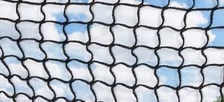 Review Image by Rajeev v Rajeev v