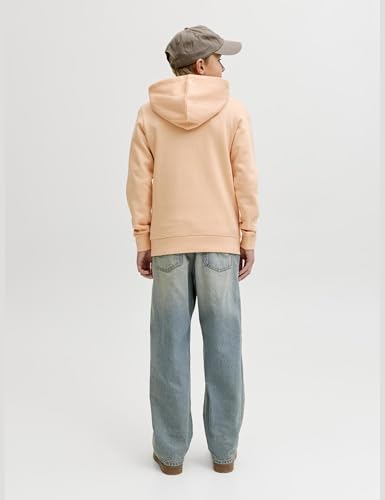 JACK & JONES Jjelogo Sweat Hood 2 Col 25/26 Noos Jnr – Ansicht 3
