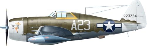Maquette P-47D-15 RA Thunderbolt Miniart 1:48 avion militaire américain en kit
