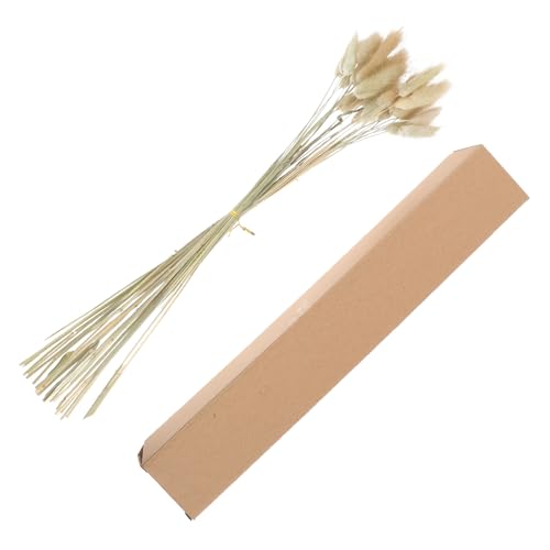 iplusmile ApETM̂ۑ30 pbP[W z[DIYV[̃t[AWgpRCeA