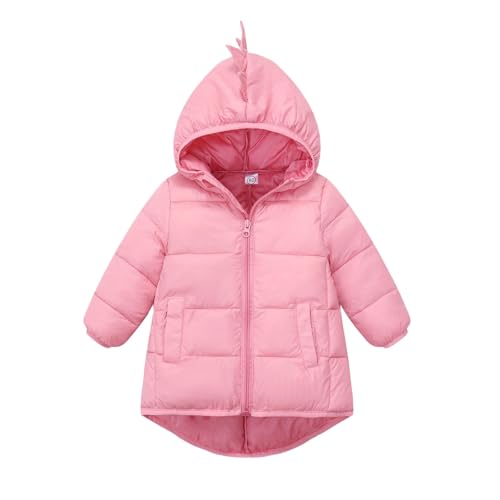 Beessbest Toddler Boy Girl Cute Dinosaur Hooded Puffer Jackets Winter Coats Warm Zip-UP Padded Outerwear with Pockets