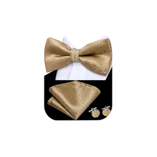 Image of Dubulle Mens Paisley Striped Bowtie Set Pre-tied Bowtie for Men and Pocket Square Set Wedding Business