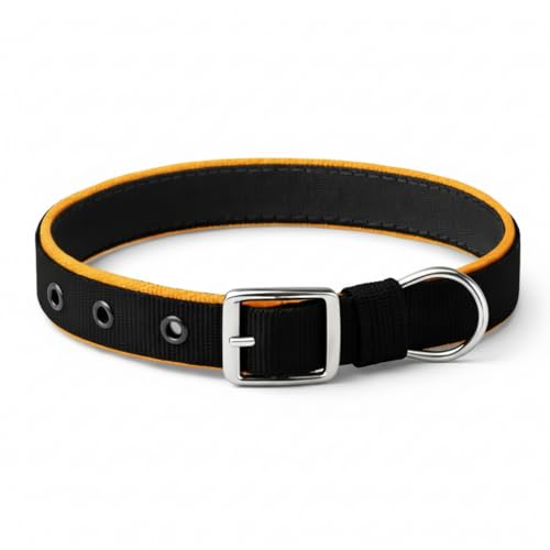 Image of Dog Leash with Padded Handle and Padded Collar Set | Adjustable Nylon Dog Collar & Heavy Duty Leash with Strong Metal Clip | Walking & Training Set for Small Medium Large Dogs