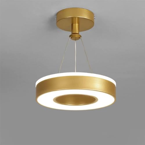 Lustre LED rond pour éclairer un porche ou une allée sombre