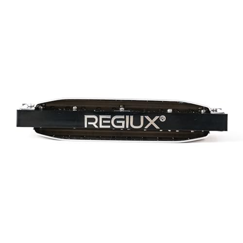 Professional Blues Harmonica, 10-Hole Diatonic, Black and Silver, Blues & Folk Music Instrument with Carrying Case - Les Beatles, Paul McCartney, John Lennon, RIngo Starr, George Harrison Professional Blues Harmonica, 10-Hole Diatonic, Black and Silver, Blues & Folk Music Instrument with Carrying Case – Image 4
