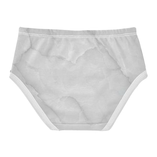 Grey White Marble Texture Girls Underwear Toddlers 2t Cotton Panties for Girl Fun Briefs Kids Undies2