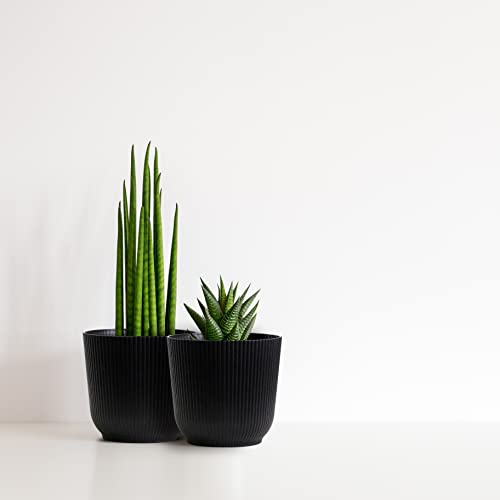 Olly & Rose Oxford Plant Pot Planter Plastic, Pack of 2, Indoor and Outdoor Flower Pots for Garden and Home - Image 3