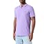 Open Purple549