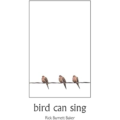 bird can sing