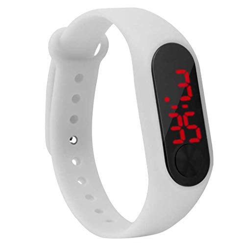 [Siepificius] LED XN[ fBXvCq^fW^rvwtBbglX XgohNX|[cpi  240×15 mm