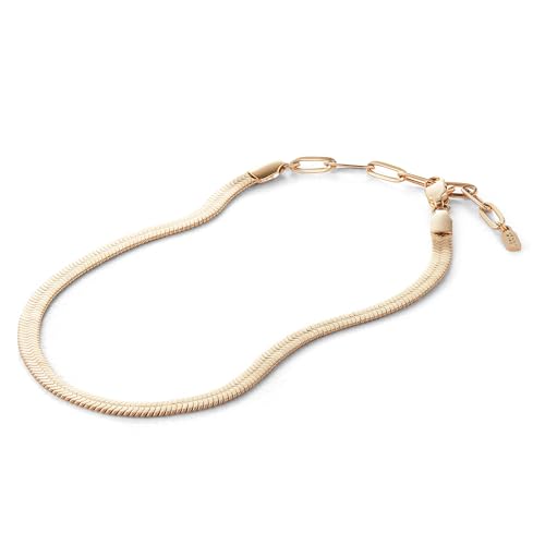 Image of JENNY BIRD Zeina Anklet